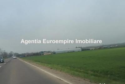 Teren de 25000 mp, în Agigea - 4