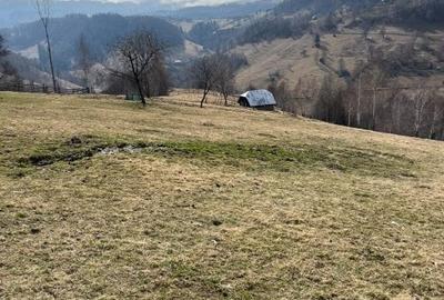 Vanzare Teren cu Punct de Belvedere in Moieciu zona Magura-Pestera - 18