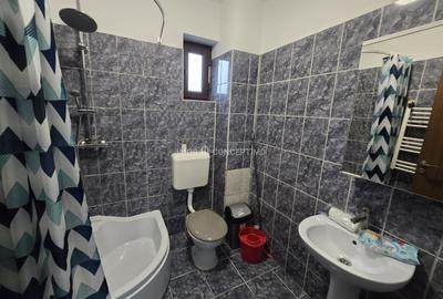 Garsonieră semidecomandată, mobilată în Ana Ipătescu - 16