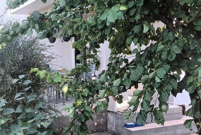 Casa P+M - Valu lui Traian - 155.000 euro  (Cod E11) - 12