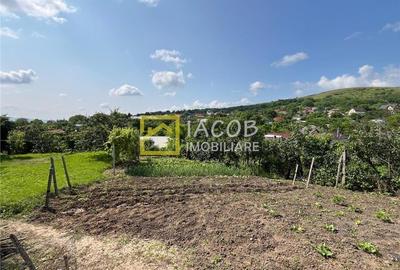 Casa cu 1690 mp teren, vie pe rod, comuna Sarata, jud. Bacau - 10