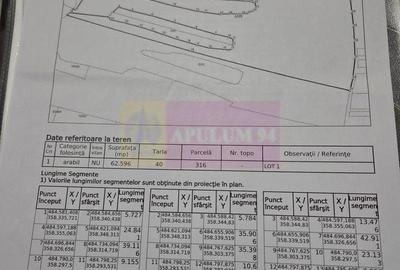 Teren de 94000 mp, în Bradu - 5