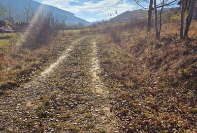 Casa 200 mp,Tarlungeni, Brasov - 33