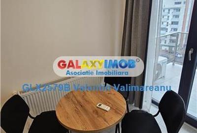 Garsonieră decomandată, mobilată în Theodor Pallady - 2