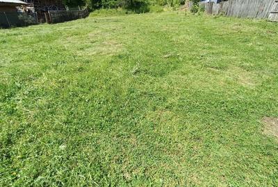 Spațiu comercial, în Valea Siliștii - 1