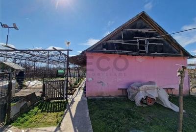 Casă cu 1 camere cu Teren 2676 Mp în Șimian - 6