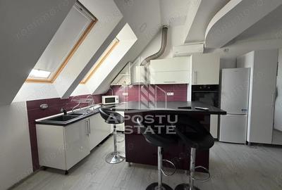 Apartament 4 camere cu etaj, AC, PET FRIENDLY, Torontalului - 3
