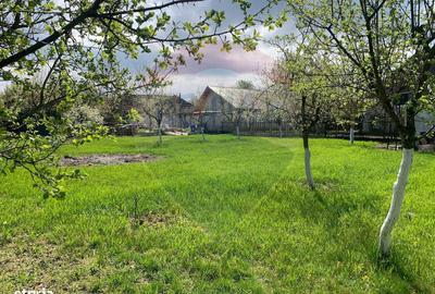 Casă cu 3 camere cu Teren 1090 Mp în Avram Iancu - 7