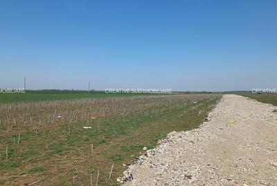 Terenuri Intravilane Industriale - 50 E mp - Sos. Oltenitei DN 4 / Autostrada A0 Terenuri Intravilane Industriale - 50 E mp - Sos. Oltenitei DN 4 / Autostrada A0 - 7