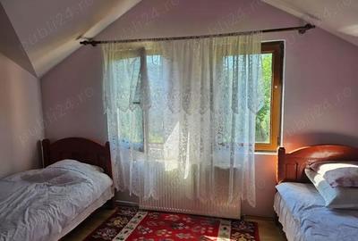Casă cu 3 camere cu Teren 1500 Mp în Băile Herculane - 7