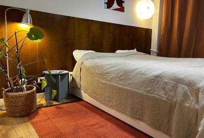 Apartament cu 2 camere decomandat în Banu Manta - 6