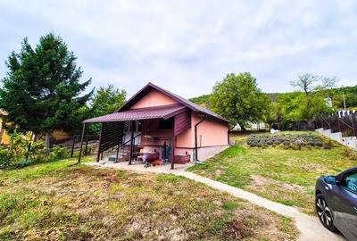 Casă cu 2 camere cu Teren 2647 Mp în Valea Mare - 13