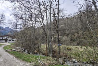 Teren de 6855 mp, în Exterior Vest - 13