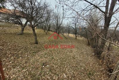 Casă cu Teren 1358 Mp în Gura Beliei - 9