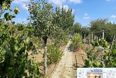 Casă cu 3 camere cu Teren 640 Mp în Traian - 12