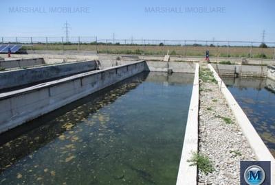 Spatiu industrial de vanzare, 2560 mp #15268 - 10