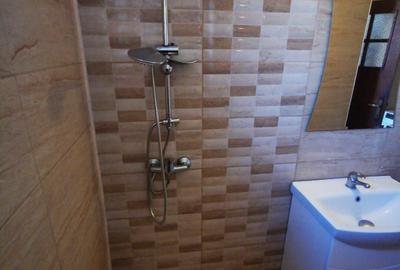 De inchiriat apartament 3 camere cu loc de parcare - Piata Unirii - 16