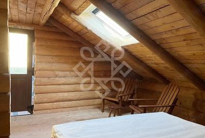 Casă cu Teren 2046 Mp în Tileagd - 5