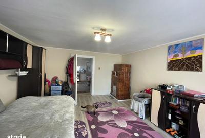 Casă cu 2 camere în Săbișa - 6