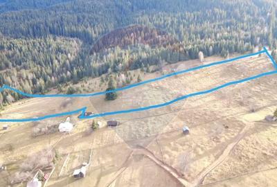 Teren Construcții intravilan de 26232 mp, în Dorna-Arini - 4