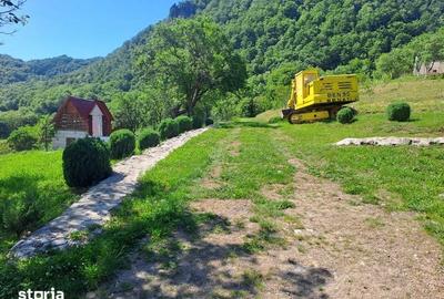 Casă cu 4 camere cu Teren 135 Mp în Certeju de Sus - 5