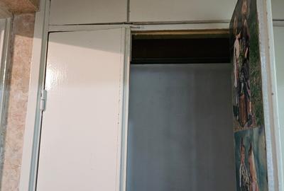 Apartament cu 2 camere semidecomandat în Giurgiului - 13