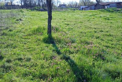 Teren agricol intravilan de 1810 mp, în Hezeriș - 3