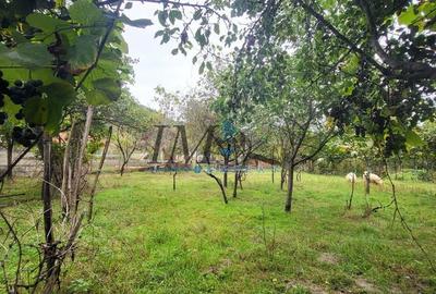 Casă cu 4 camere cu Teren 1237 Mp în Ciugud - 2