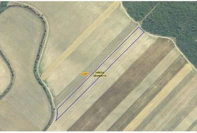 Teren extgravilan agricol Uliesti, ID: R2263433 - 7