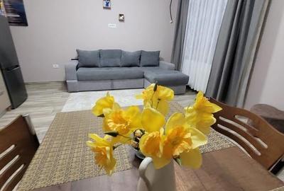 Apartament cu 2 camere semidecomandat, mobilat în Central - 2