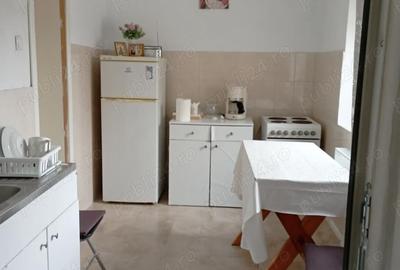 Casă cu 2 camere cu Teren 2500 Mp în Doclin - 6