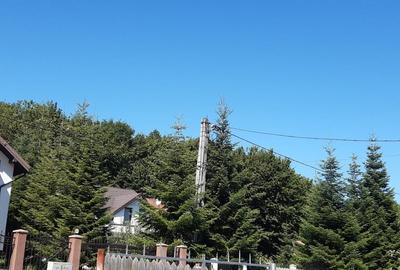 OPORTUNITATE: 4.400 mp la marginea PADURII, langa VILE NOI, toate UTILITATILE - 2
