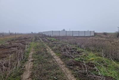 Teren Construcții intravilan de 918 mp, în Șimnicu de Sus - 1