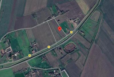 Teren de 7016 mp, în Tortoman - 7