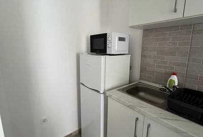Garsonieră decomandată în Tudor - 11