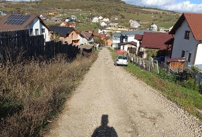 Teren 1000 mp intravilan, Zona Tarpiului - 2