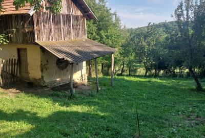 Teren Construcții intravilan de 5265 mp, în Teișani - 7