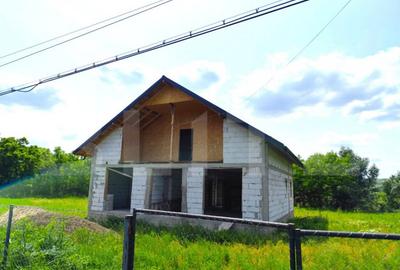 Casa spatioasa la rosu, 2024, 2800 mp teren, zona Andrieseni - 2