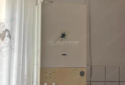 Resita, 2cam,cf1.Semidec.Moroasa - 13