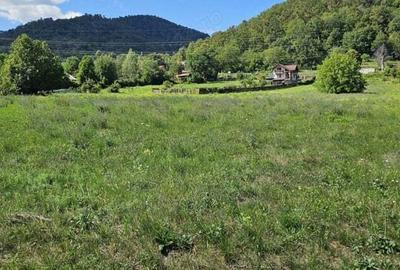 Teren de 1434 mp, în Alexandru cel Bun