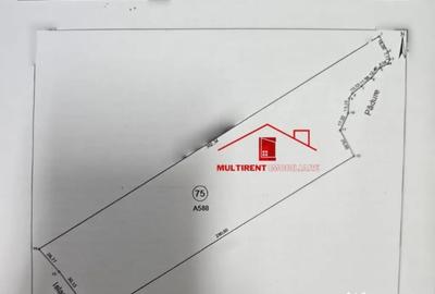 Teren de 25000 mp, în Dunavățu de Jos - 2