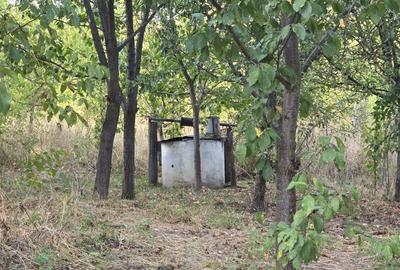 Casă cu 4 camere cu Teren 2400 Mp în Corbu - 3
