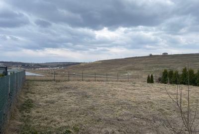 Spațiu comercial, în Curtești - 5