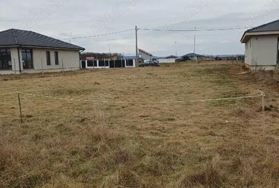 Teren de 800 mp, în Alparea - 3