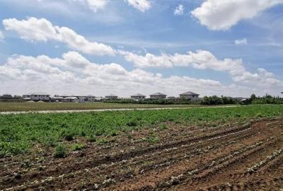 Balotesti 2 loturi de 1400mp, 2 loturi a cate 750mp - 8