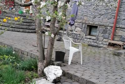 Vand vila de lux in zona Cetatii 1250000 - 5