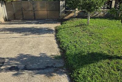 Vand casa in Deva, zona Zavoi, P+E, constructie din BCA si boltari, - 4