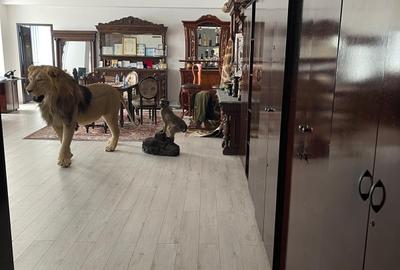 Birou, de 144 mp, în 16 Februarie - 2