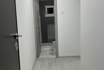 Garsonieră în Gojdu - 5