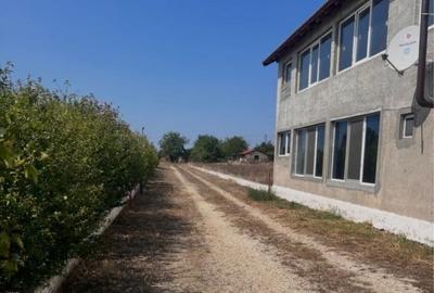 TEREN DE VANZARE | VALU LUI TRAIAN | 315 MP - 2